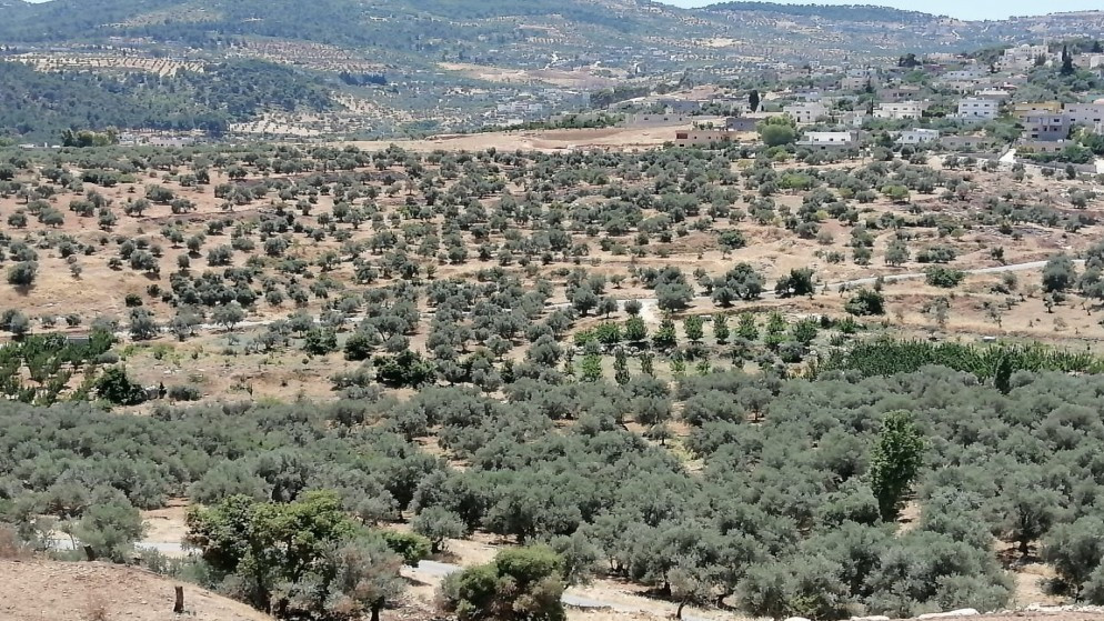 الاردن يتخذ إجراءات حاسمة لحماية الغابات من الحرائق