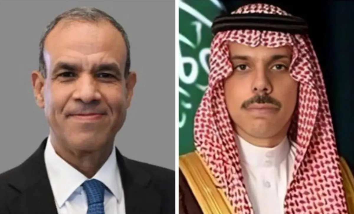 السعودية ومصر تبحثان تطورات الأوضاع الإقليمية
