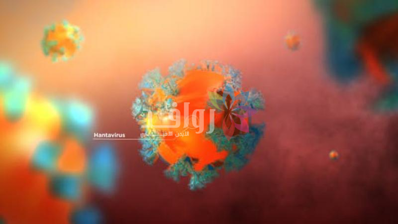 الصحة العالمية: خطر تفشي فيروس هانتا عالمياً لا يزال منخفضاً