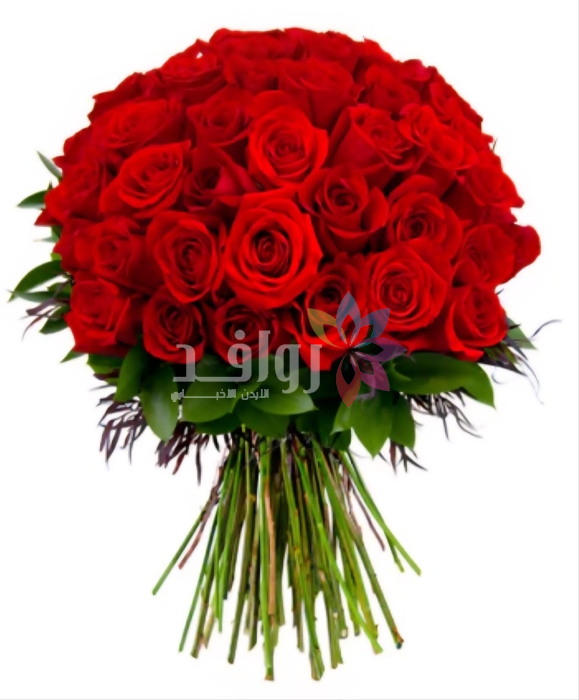 ميس موسى المليطي تنال درجة الماجستير من امريكا