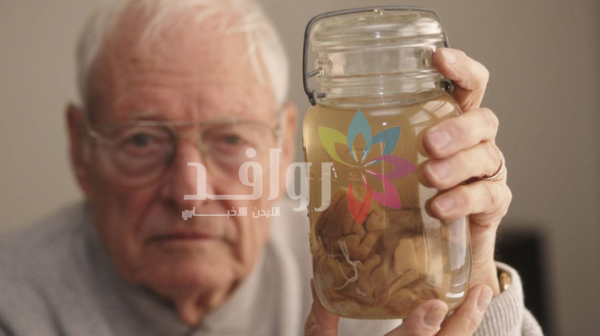 لغز القرن .. لماذا وُضع دماغ أينشتاين المسروق في وعاء «مايونيز»؟