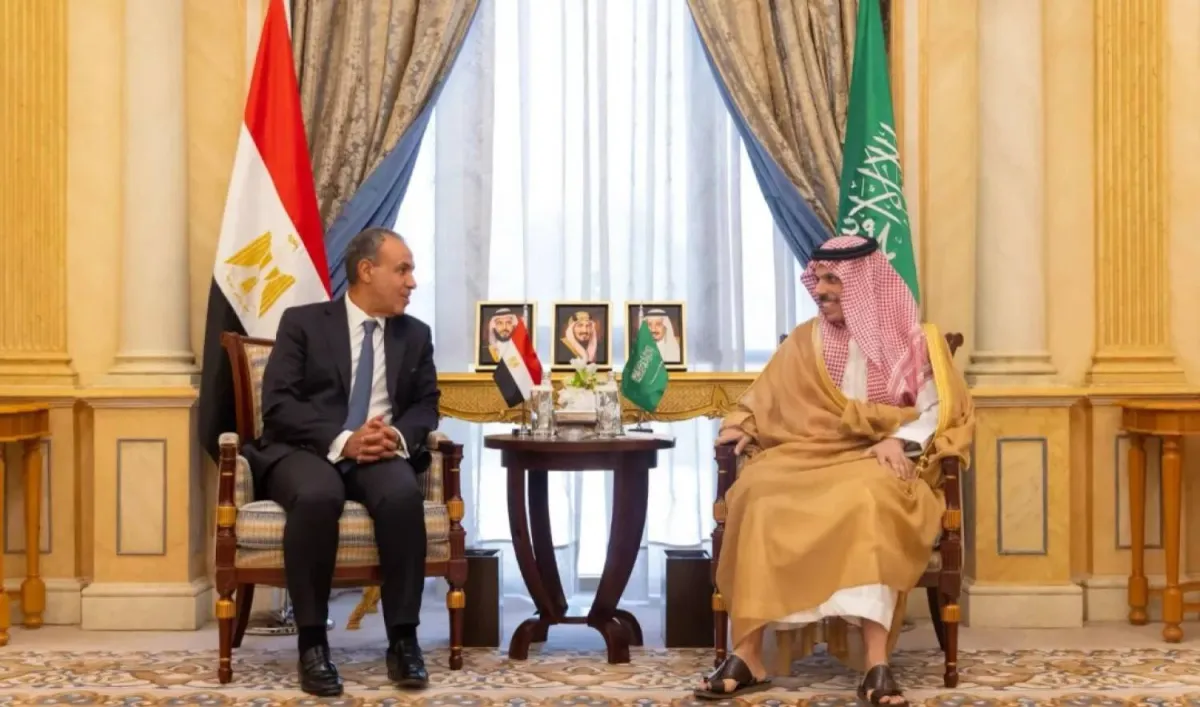 السعودية ومصر تتفقان على خفض التصعيد ودعم الحلول الدبلوماسية