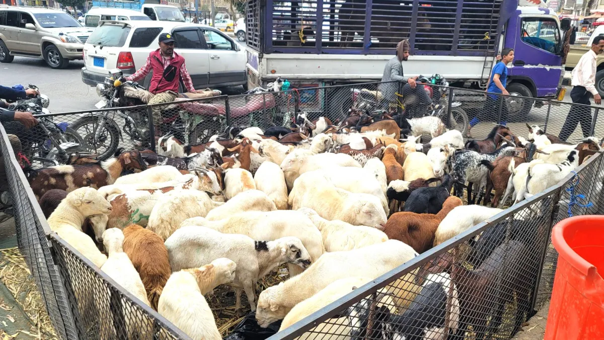 عيد بلا فرحة.. أزمة معيشية خانقة تخيم على مناطق الحوثيين