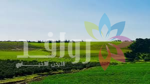 الثلاثاء .. طقس لطيف في أغلب المناطق