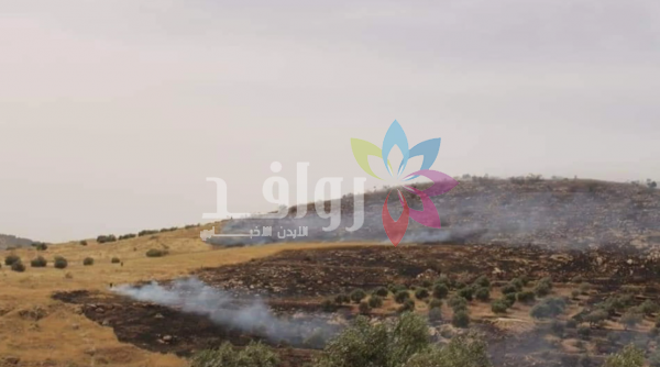 حرائق تلتهم 800 دونم من حقول الحبوب والزيتون في بيرين