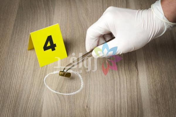 عطية يدعو الحكومة لإطلاق مبادرة وطنية شاملة للحد من الجريمة