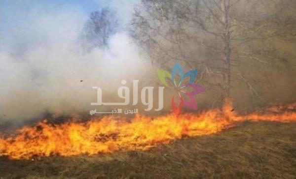 الأمن: حريق 10 آلاف و402 دونم مزروعات واعشاب منذ أيار