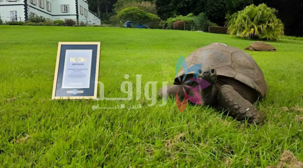 عمره 194 عاماً .. ما قصة أقدم حيوان بري حي في العالم؟