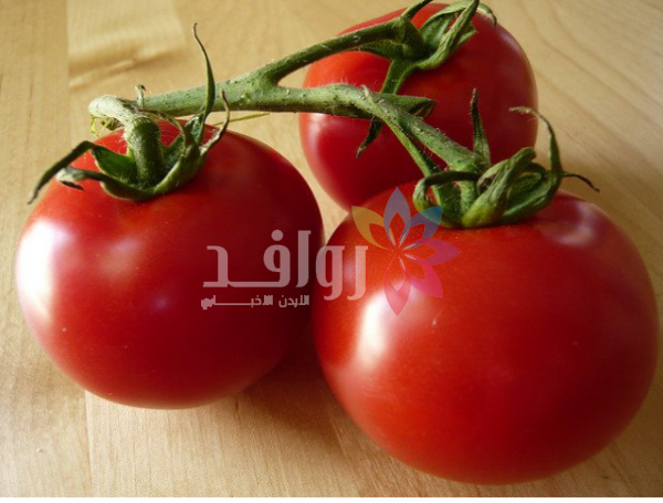 كيلو البندورة بين 10 و25 قرشًا في السوق المركزي السبت