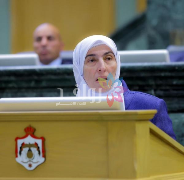 طهبوب تطالب بترك القديم على قدمه .. وتنظيم المهنيين الجدد
