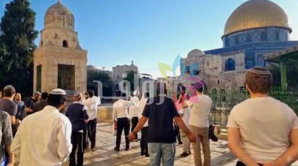 مستوطنون يقتحمون المسجد الأقصى تزامنا مع ما يسمى ذكرى خراب الهيكل