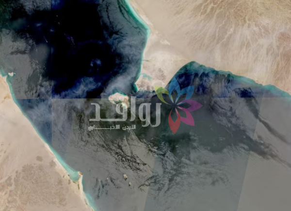 بيانات: عدد السفن العابرة لمضيق باب المندب عند أعلى مستوى في أسبوع