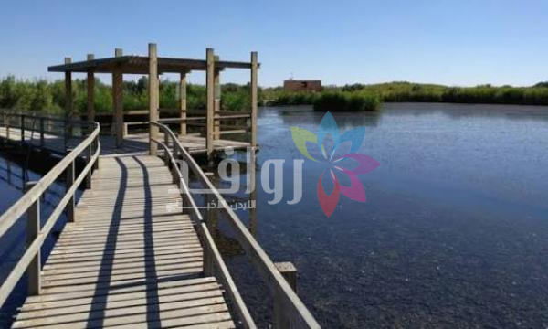 °45.1 .. الأزرق تسجل أعلى درجة حرارة في الأردن السبت