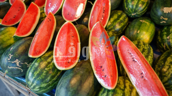 أسعار الخضار والفواكة في السوق المركزي الأحد