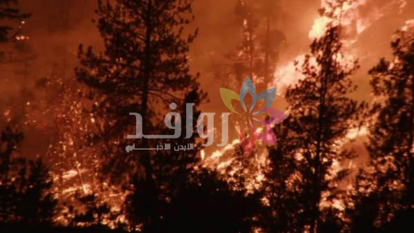 حرائق غابات غرب كندا تدمر 230 منزلا