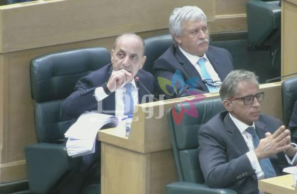المصري: تعديل حدود البلديات وضمها يتطلب مراعاة التركيبة السكانية والعشائرية