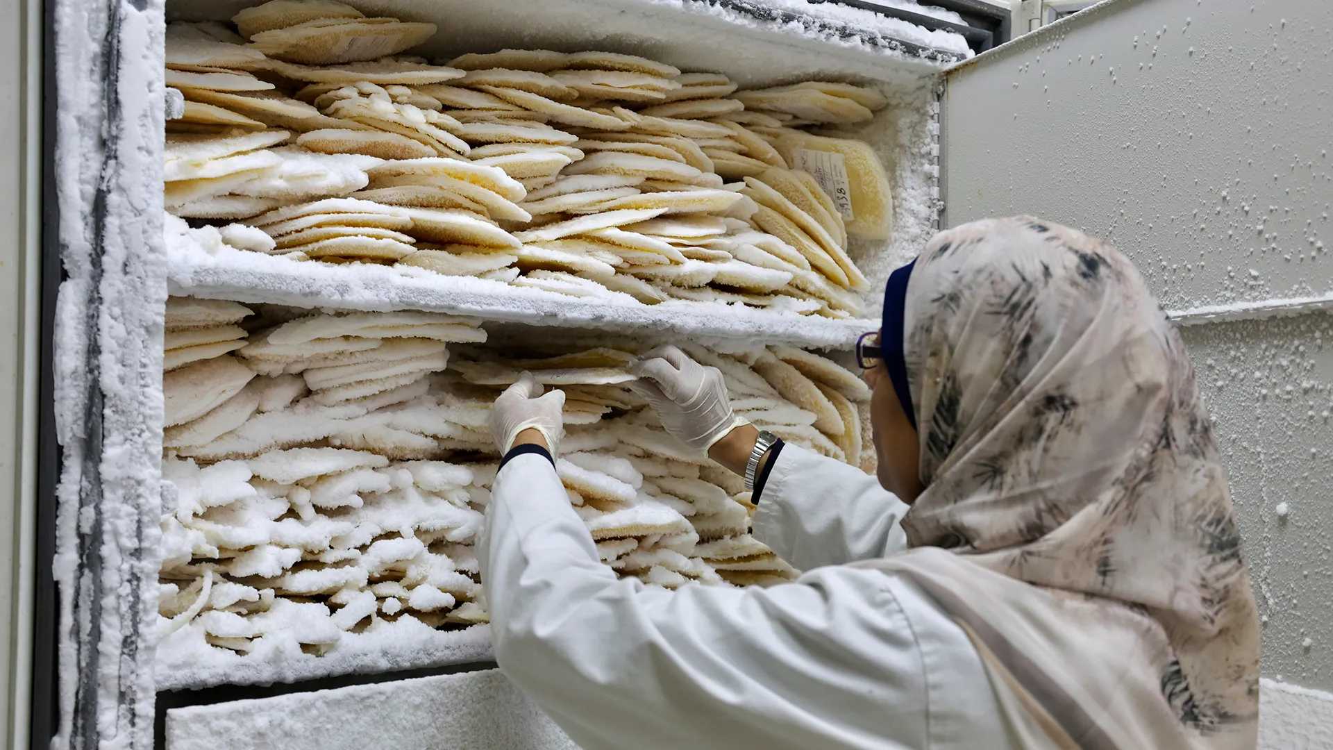 شرايين الحياة في غزة.. كيف تصارع بنوك الدم للبقاء وسط الحصار والانهيار