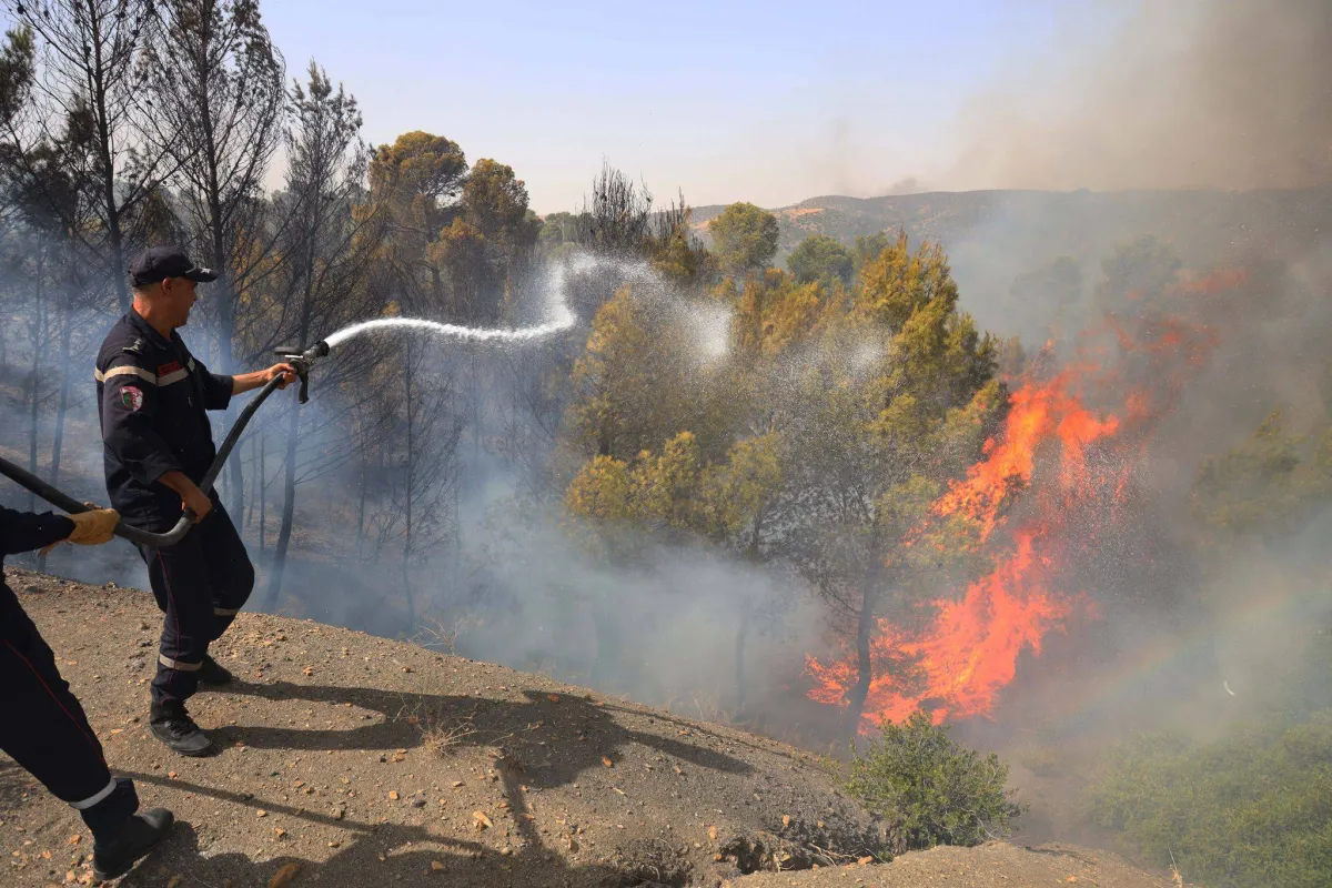 ضحايا وجرحى في سلسلة حرائق غابات تجتاح ولايات جزائرية