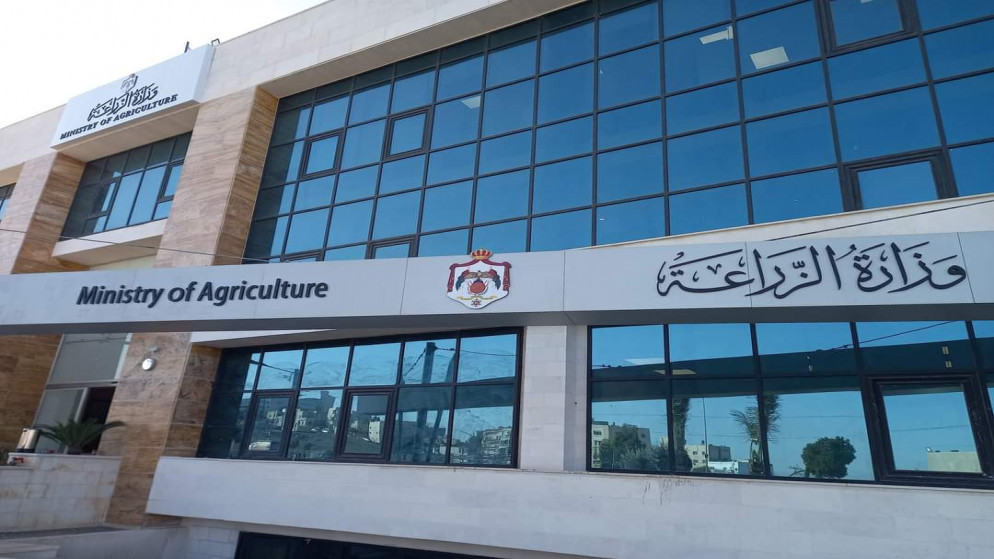 تعاون جديد بين الزراعة والفاو لتعزيز الزراعة الذكية مناخيا في الاردن