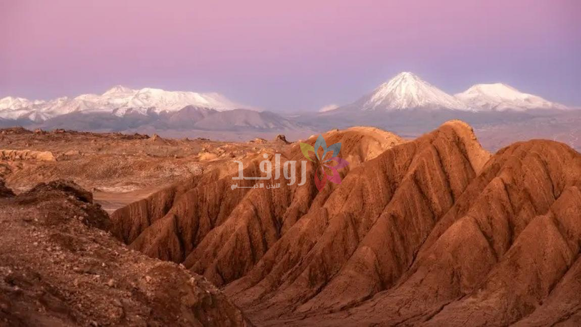 ثلوج في أكثر صحارى العالم جفافًا .. والسبب ظاهرة إل نينيو