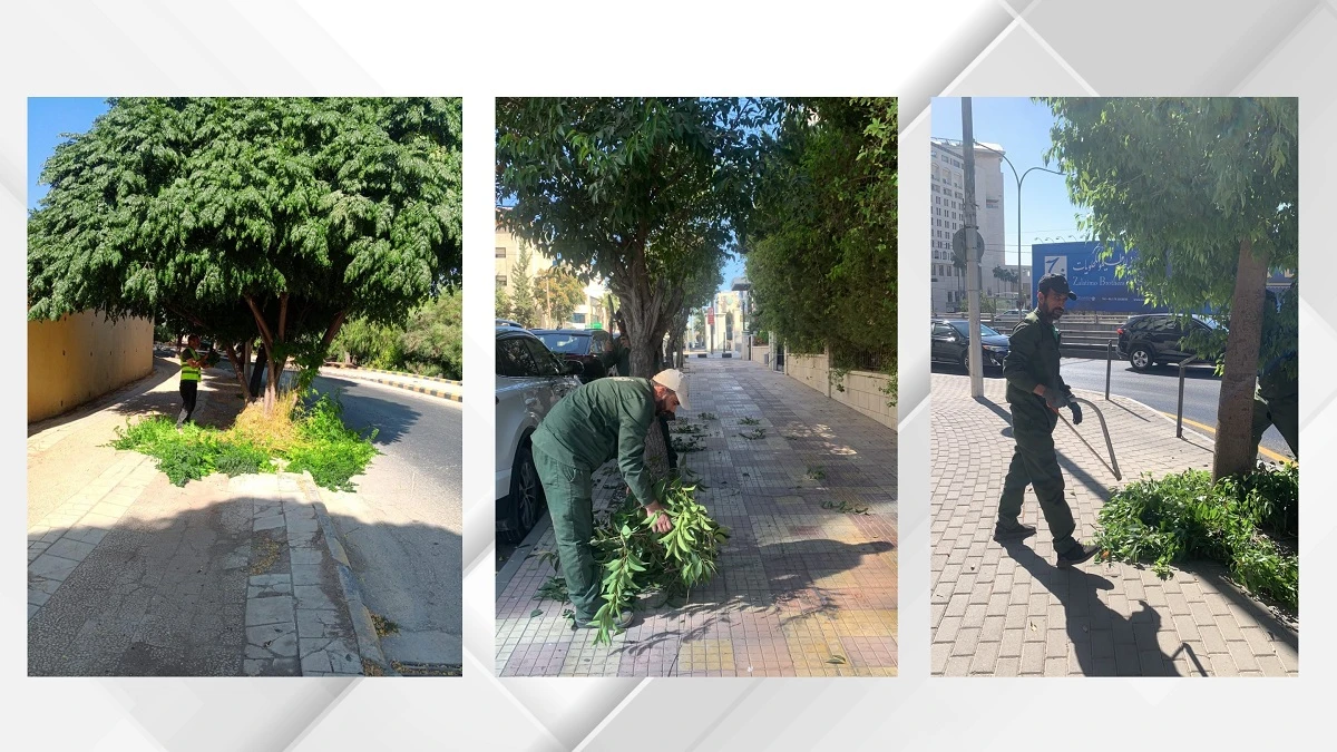 امانة عمان تشن حملة واسعة لتحرير الارصفة ومنع استغلالها كمواقف خاصة