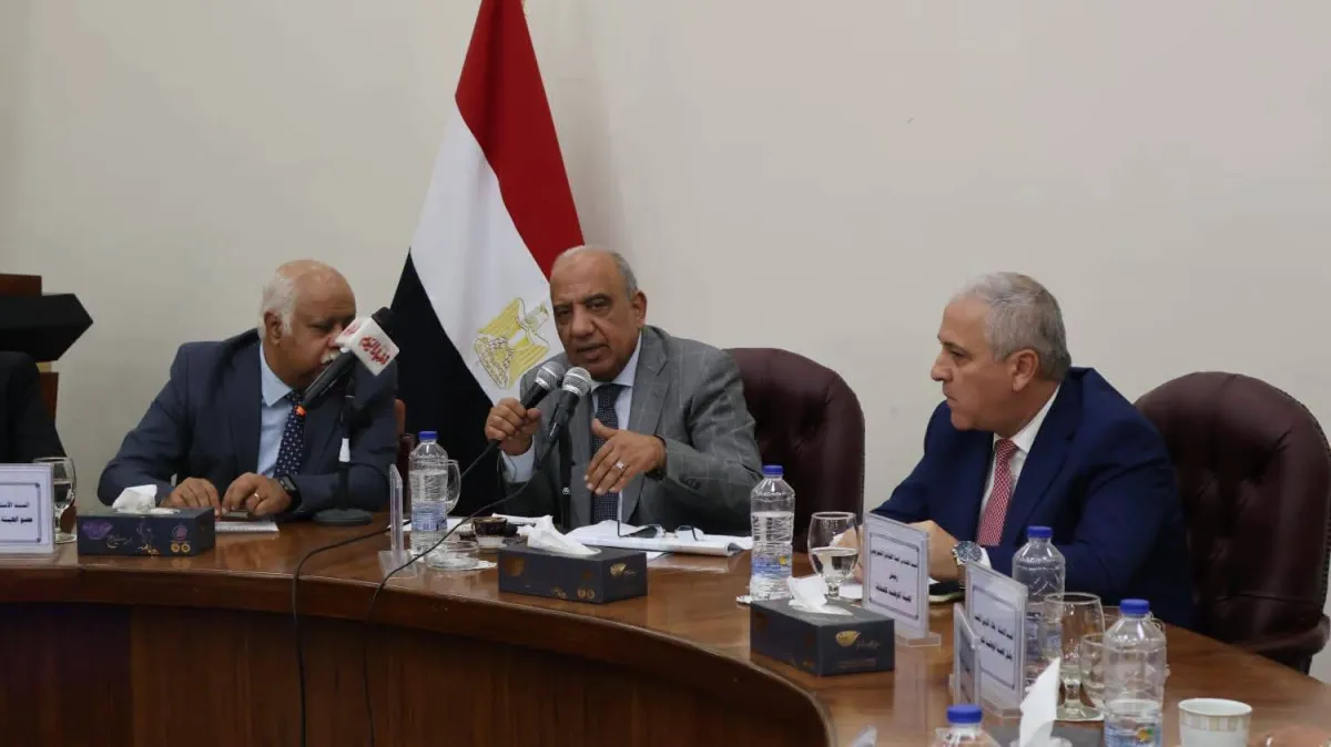مشروع الربط الكهربائي بين السعودية ومصر يدخل مرحلة التشغيل التجريبي