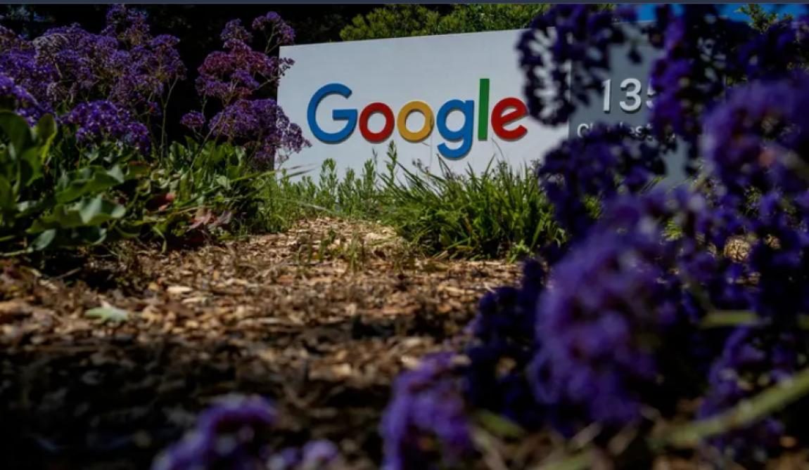 غوغل متهمة بـقتل غابة بحجم 500 ملعب كرة قدم لبناء مراكز بياناتها