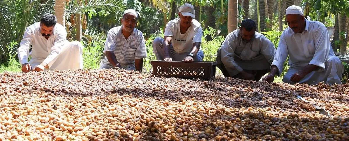 السعودية تضخ مئات الملايين لتعزيز منظومة الامن الغذائي واستقرار سلاسل الامداد