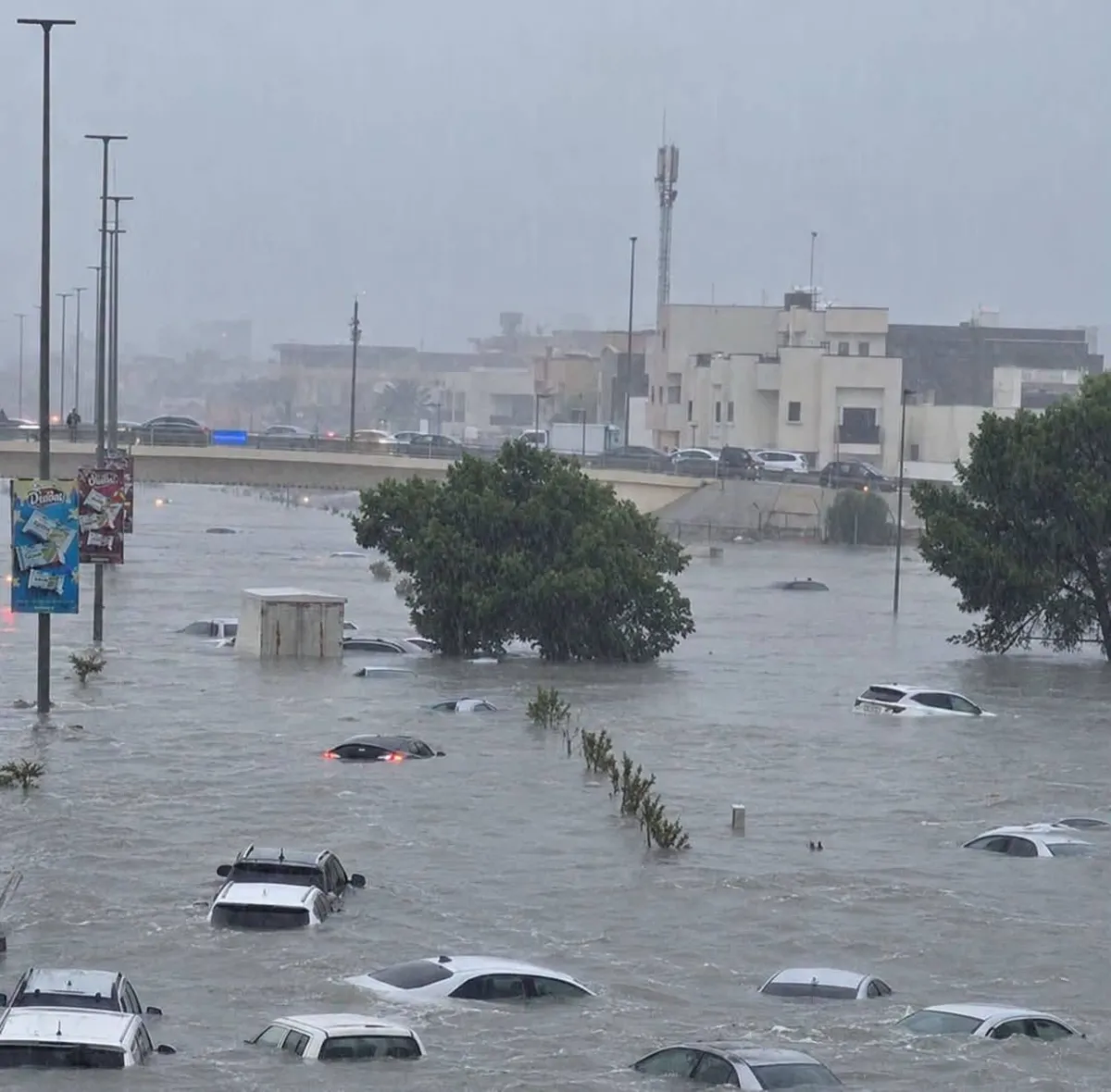 شلل في طرابلس بعد هطول امطار غزيرة تكشف هشاشة البنية التحتية