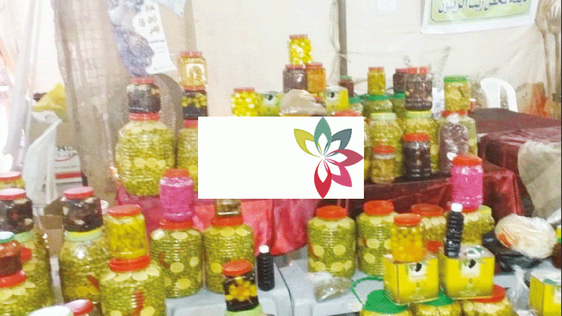 عجلون : انطلاق مهرجان الزيتون الـ12 ومعرض المنتجات الريفية الشهر المقبل