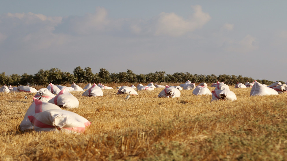 حماية الاراضي الزراعية ركيزة اساسية لتمكين المراة الريفية في الاردن