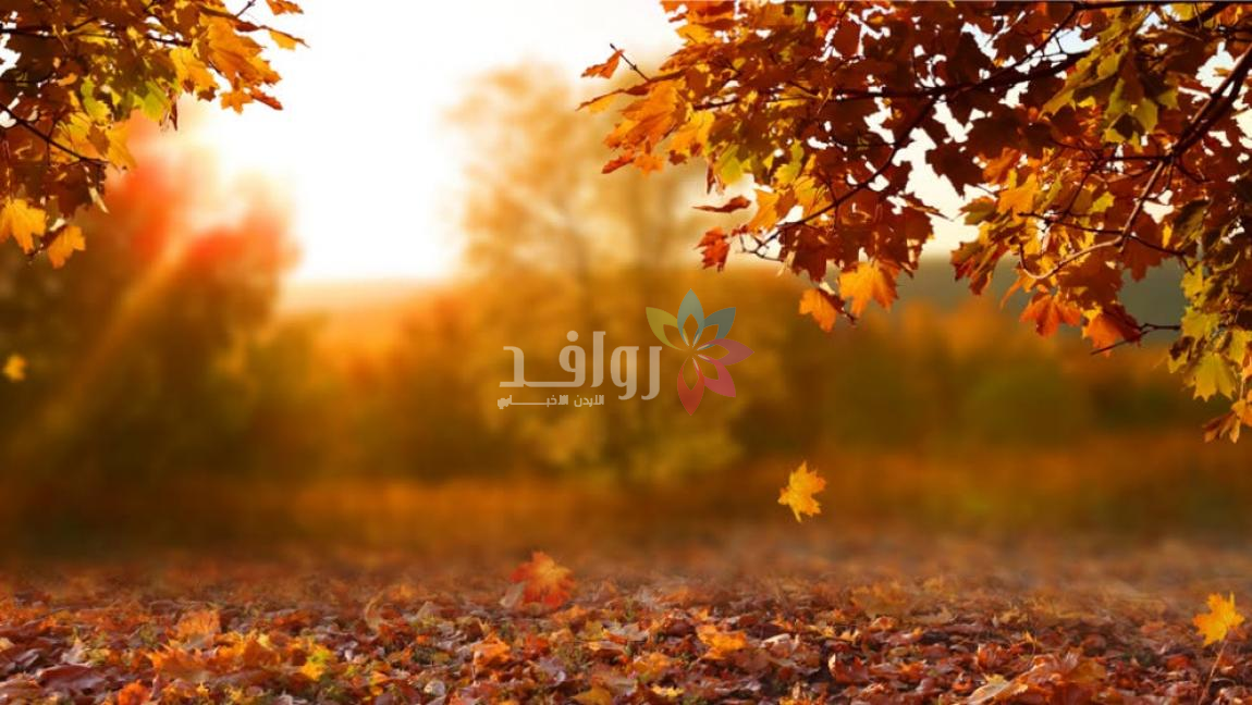 طقس لطيف الأحد وزخات مطرية خفيفة شمال المملكة