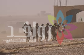 الجيش يضبط شخصا حاول التسلل عبر الحدود الشمالية