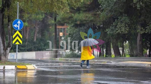 الثلاثاء .. أمطار غزيرة ورعدية وتحذيرات من السيول